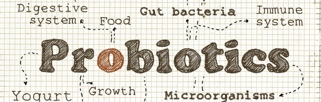 Probiotics and the immune system