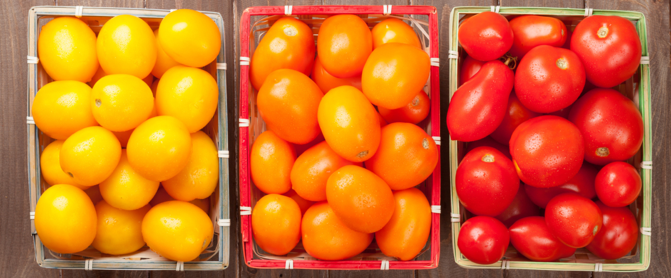 Three boxes of colorful tomatoes